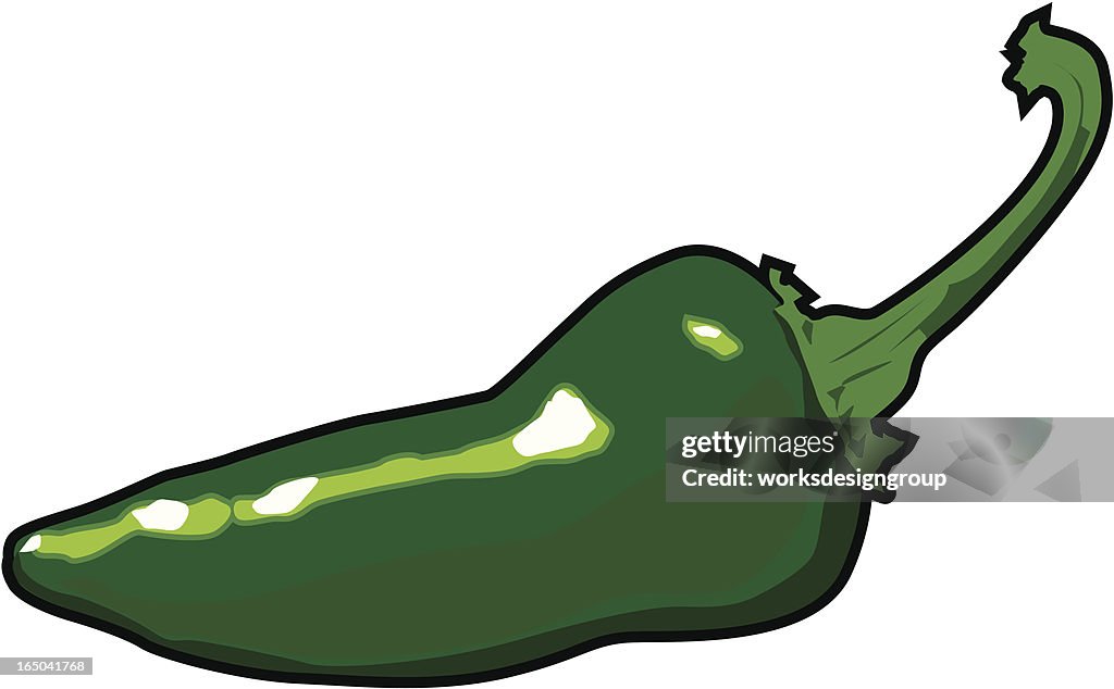 Jalapeno Pepper