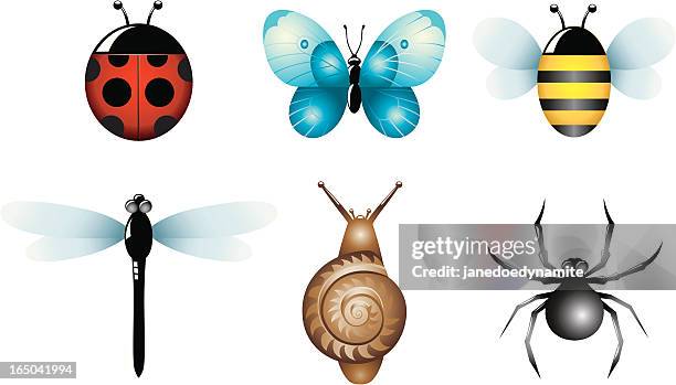 garden bugs - dragonfly wing stock illustrations