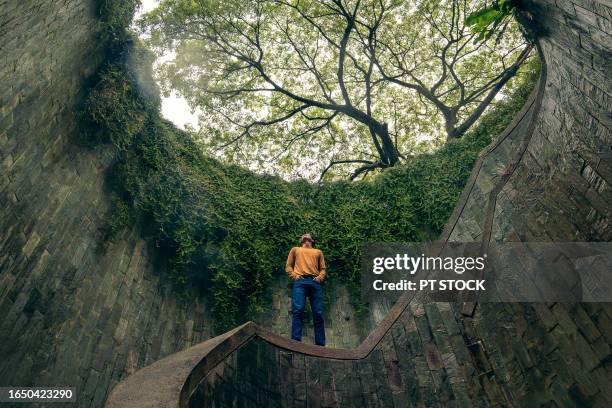 fort canning tree tunnel, singapore on rainy days, a popular place for tourists to take photos is the tunnel-like structure covered in green trees. - fortress gate and staircases bildbanksfoton och bilder