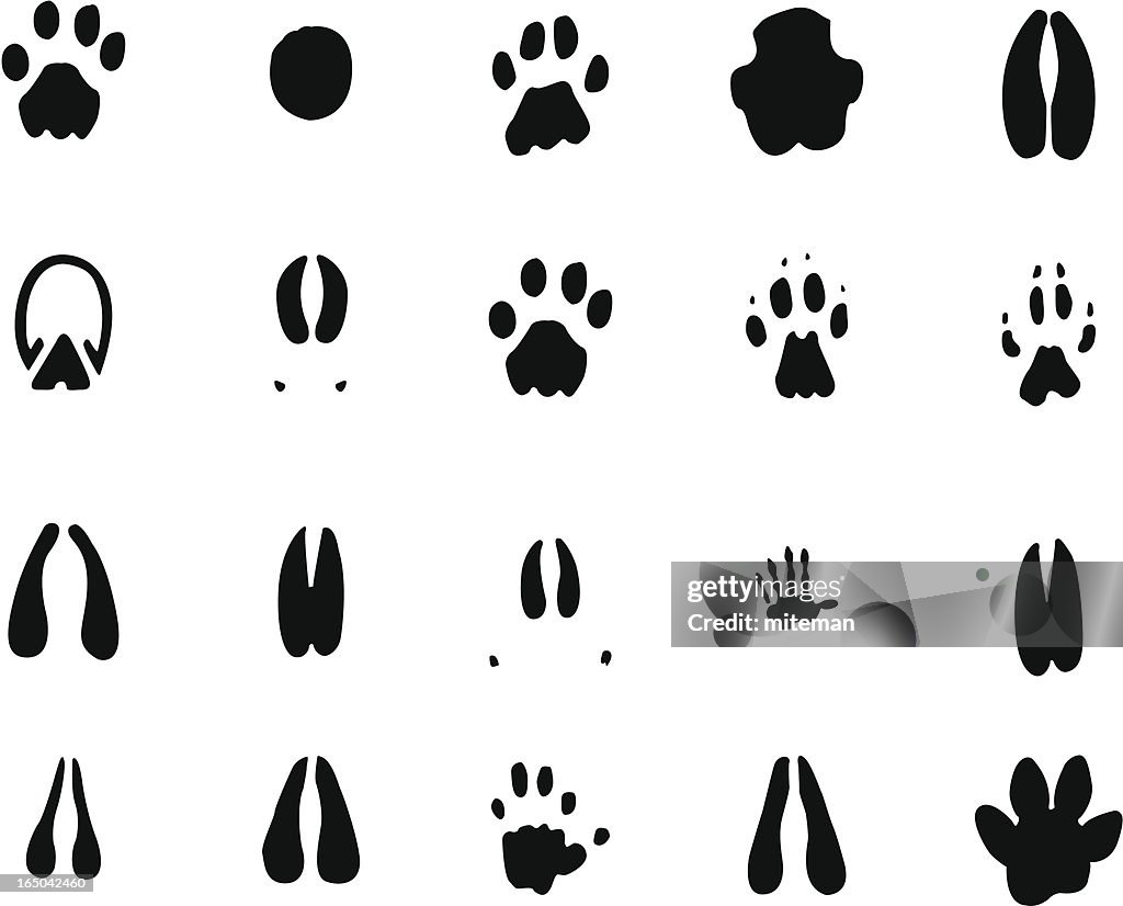 African Foot prints