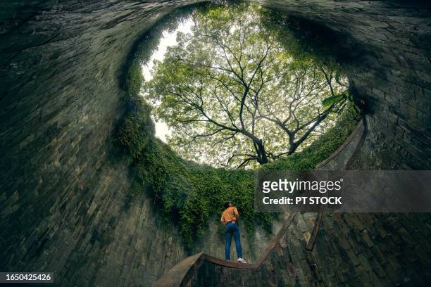 fort canning tree tunnel, singapore on rainy days, a popular place for tourists to take photos is the tunnel-like structure covered in green trees. - fortress gate and staircases stockfoto's en -beelden