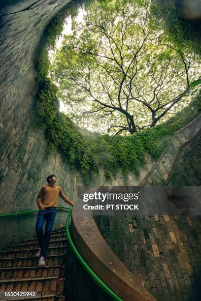 fort canning tree tunnel, singapore on rainy days, a popular place for tourists to take photos is the tunnel-like structure covered in green trees. - fortress gate and staircases stock pictures, royalty-free photos & images