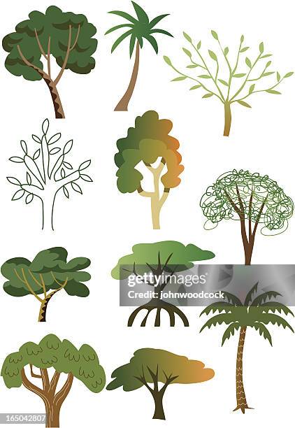 trees - amazon rainforest trees stock illustrations