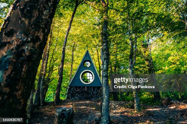 modern wooden triangular house in a sunny forest. local tourism, privacy, eco tourism - abkehr stock-fotos und bilder