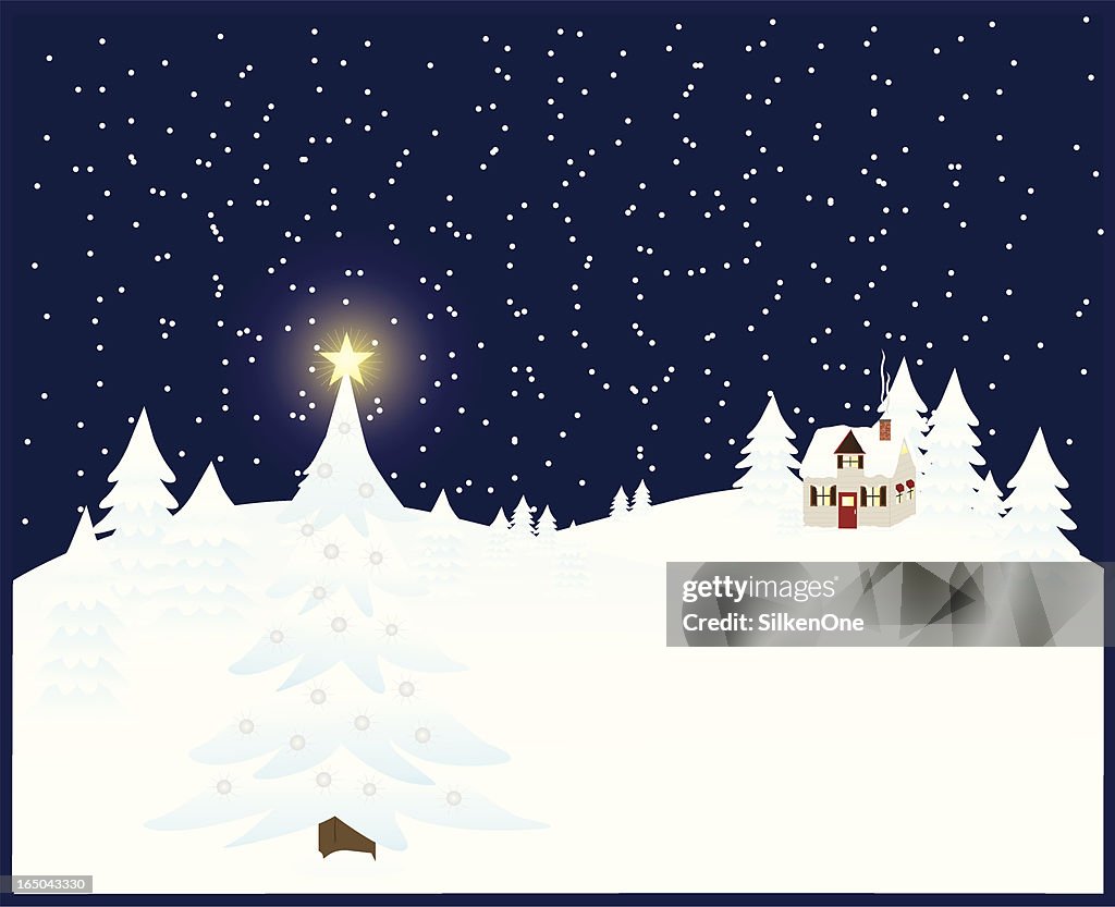 Snowy Night