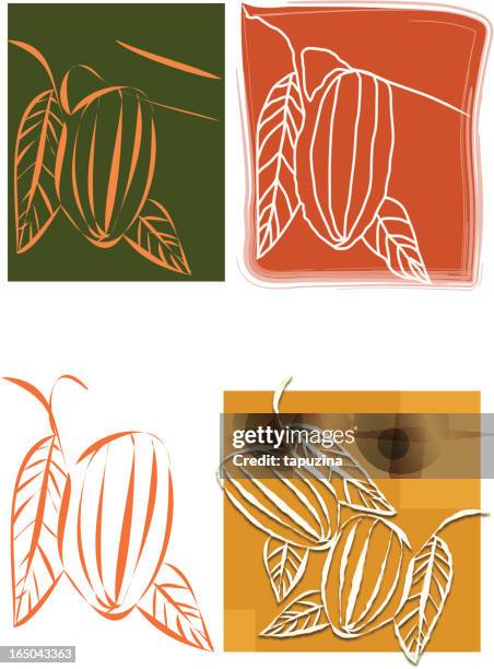 chocolate illustration - cocoa bean stock illustrations