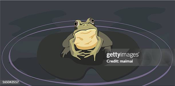 frosch auf seerosenblatt vektor - frosch stock-grafiken, -clipart, -cartoons und -symbole