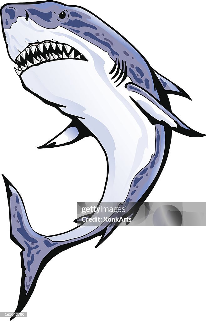 Shark