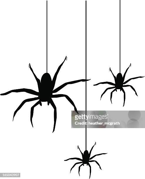 ilustraciones, imágenes clip art, dibujos animados e iconos de stock de spiders - spider