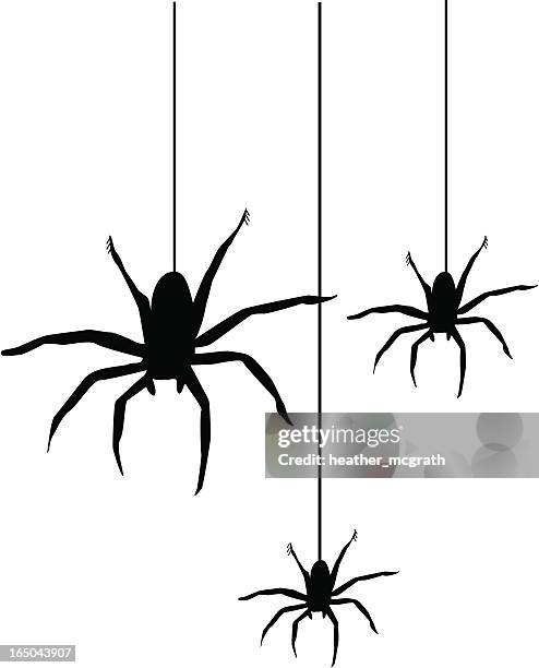 illustrations, cliparts, dessins animés et icônes de spiders - spider