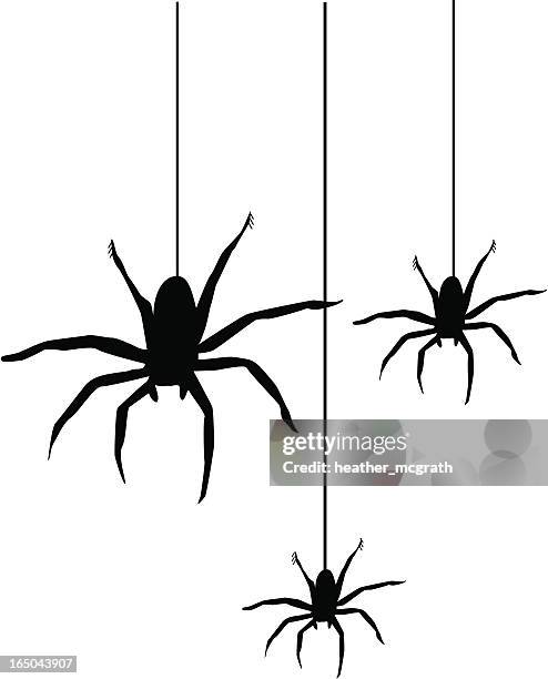 illustrations, cliparts, dessins animés et icônes de spiders - jambe animale