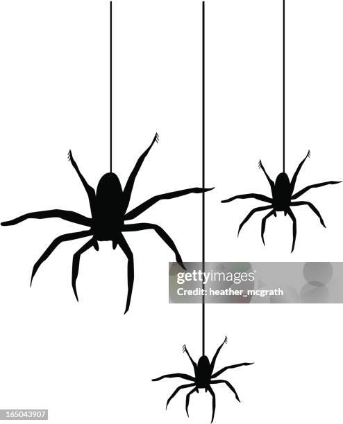 illustrazioni stock, clip art, cartoni animati e icone di tendenza di spider - tre animali