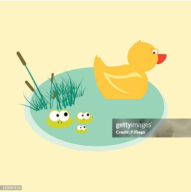duck and frogs - frog vector stock illustrations