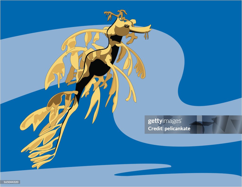 Sea Dragon