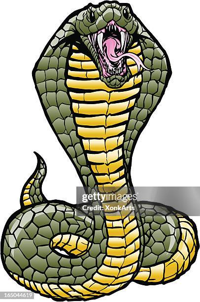 bildbanksillustrationer, clip art samt tecknat material och ikoner med clip art of a green and yellow hissing cobra - kobra