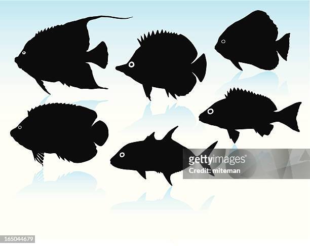 fish silhouettes - jack fish stock illustrations