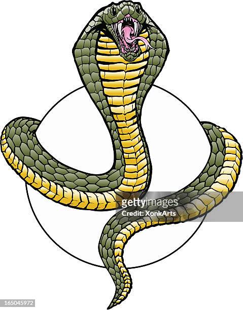 cobra wrap - cobra snake stock illustrations