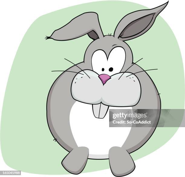 goofy rabbit vector illustration - cottontail stock illustrations