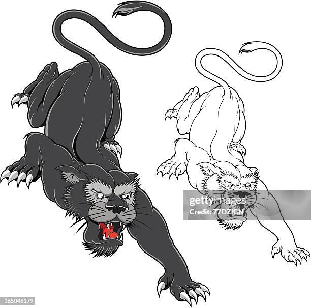 panther - puma stock illustrations
