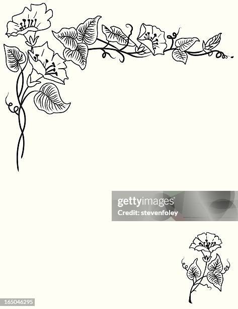 border - floral - corner border stock illustrations