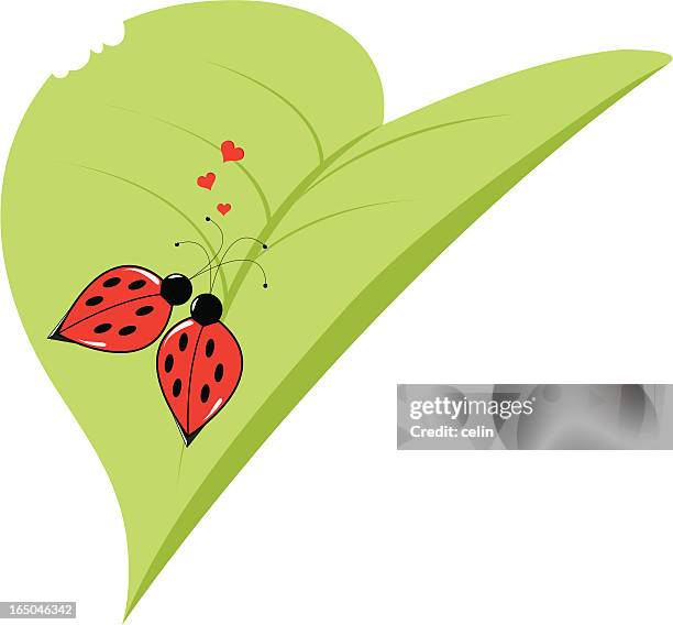 stockillustraties, clipart, cartoons en iconen met lover ladybugs - hap eruit