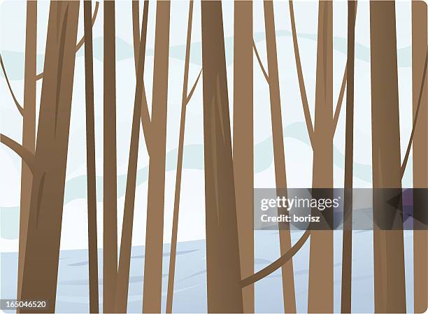 through the trees - birch forest winter stock illustrations