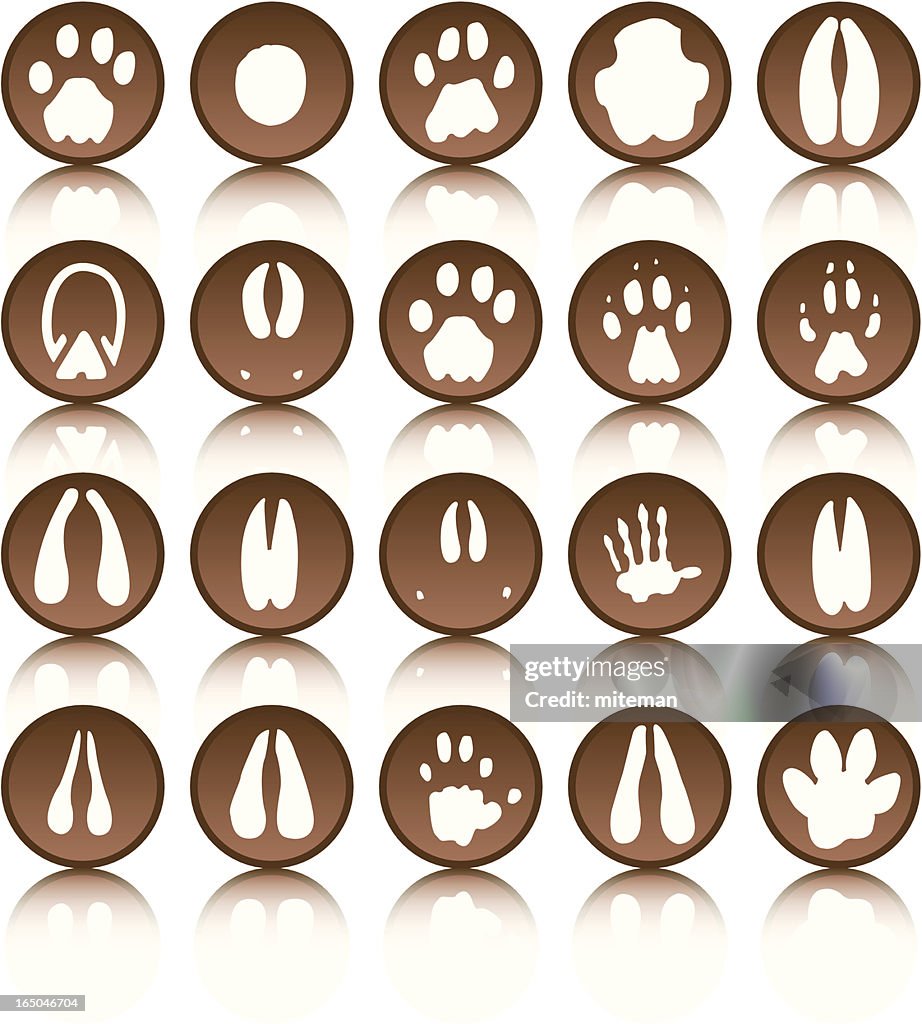 African Foot prints