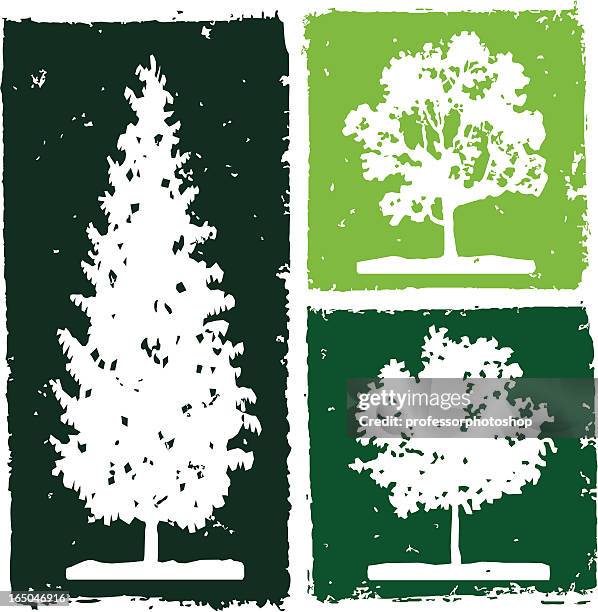 three trees - elm tree stock illustrations