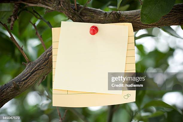adhesive note on branch - season schedule announcement stock pictures, royalty-free photos & images