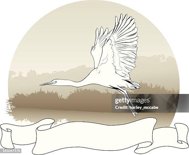 heron scroll - swamp stock illustrations