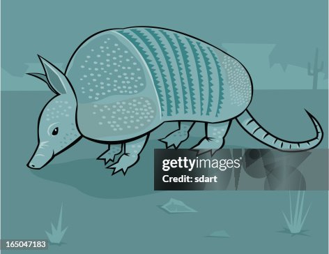 Armadillo Armadillo