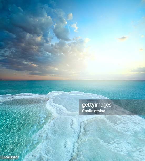 campo de sal do mar morto - mar morto - fotografias e filmes do acervo