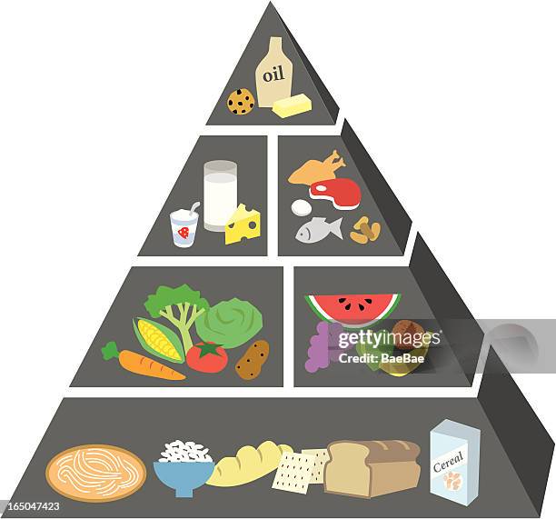 stockillustraties, clipart, cartoons en iconen met food guide pyramid - food groups