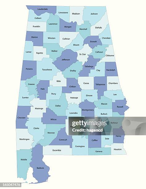 illustrazioni stock, clip art, cartoni animati e icone di tendenza di alabama state-contea di mappa - costa caratteristica costiera