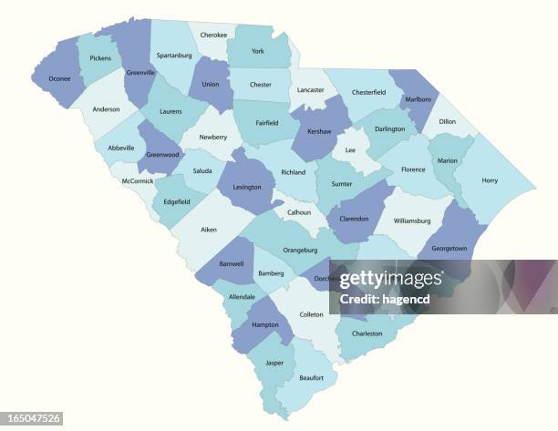 south carolina state-county karte - north carolina v south carolina stock-grafiken, -clipart, -cartoons und -symbole