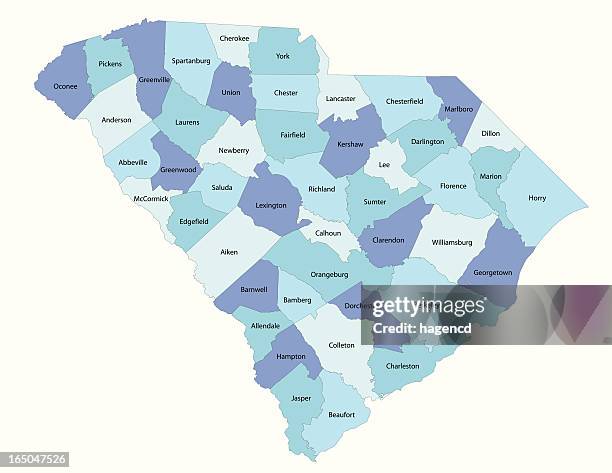 stockillustraties, clipart, cartoons en iconen met south carolina state - county map - north carolina us state