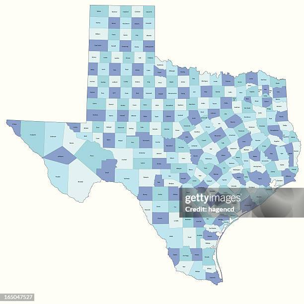 ilustrações de stock, clip art, desenhos animados e ícones de texas state-condado de mapa - distrito