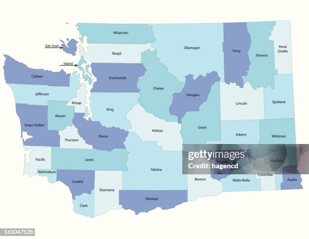 washington state-county karte - bundesstaat washington stock-grafiken, -clipart, -cartoons und -symbole