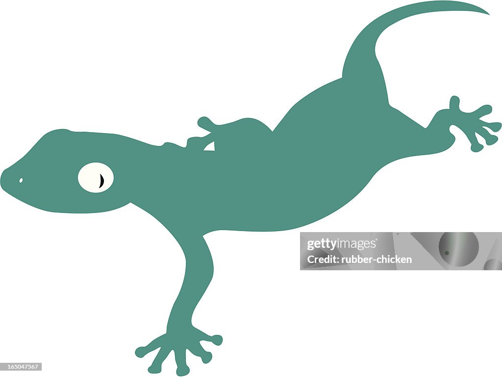 Gekko