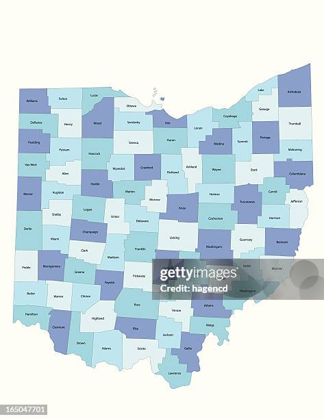 ohio state - county map - ohio counties map stock illustrations