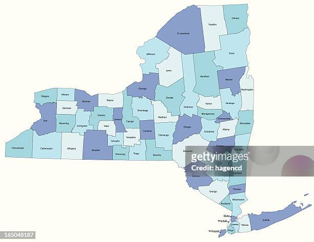stockillustraties, clipart, cartoons en iconen met new york state - county map - new york