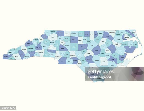 illustrations, cliparts, dessins animés et icônes de north carolina state-comté de carte - north carolina