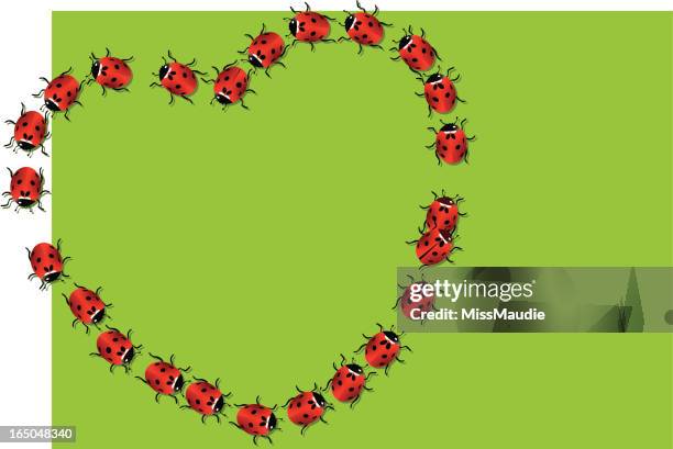 ladybird heart - ladybug stock illustrations