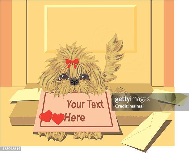 lhasa apso puppy with valentine delivery - different pets stock illustrations