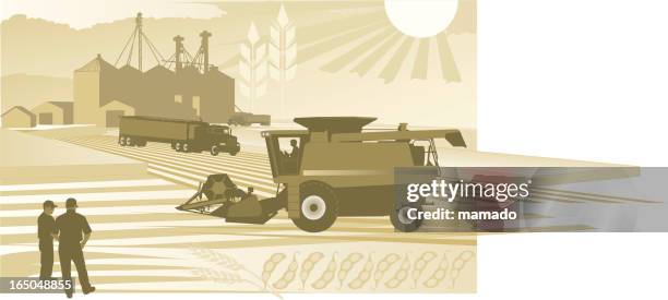 agriculture: harvest time - wheat farmer stock illustrations