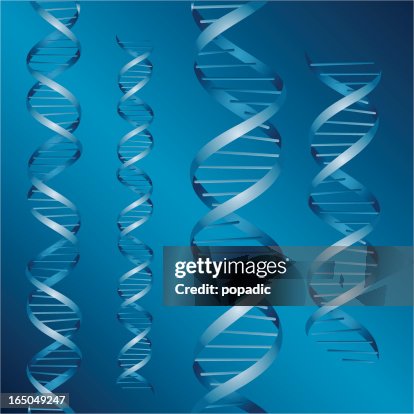 DNA strands vector DNA strands vector