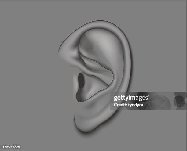 ear - earlobe stock illustrations