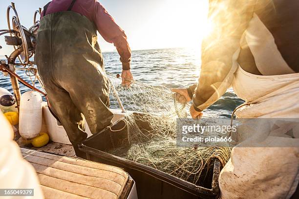 fishermen at work, pulling the nets - commercial fishing net stock pictures, royalty-free photos & images