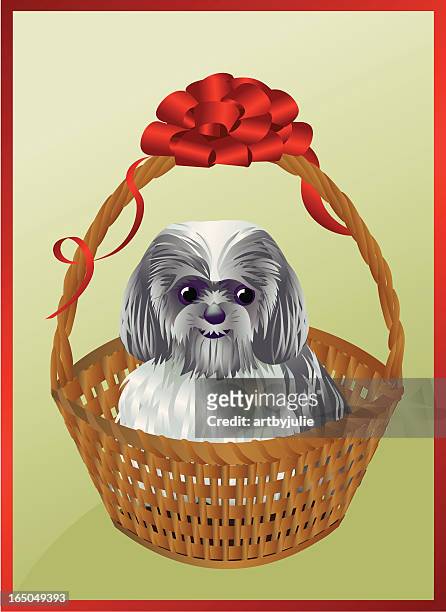 dog in a basket - shih tzu stock illustrations