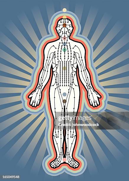 ilustrações, clipart, desenhos animados e ícones de meridianos de acupuntura - acupuncture